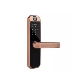 INNOVATE SMART DOOR LOCK X9