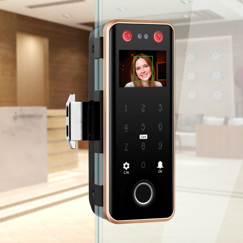 Innovate Smart Face Glass Door Lock