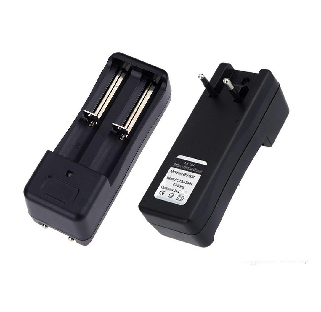 Lion Battery Charger